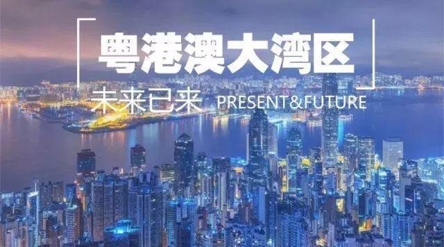 2025新澳门和香港和香港精准免费大全-精选解析、落实与策略