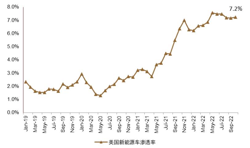 2025年全年资料免费大全,词语释义解释与落实展望