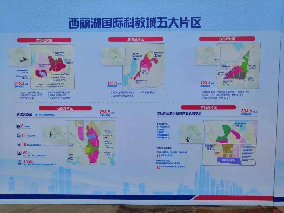 新2025全年奥门兔费资料-详细解答、解释与落实