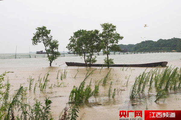 鄱阳水位最新消息