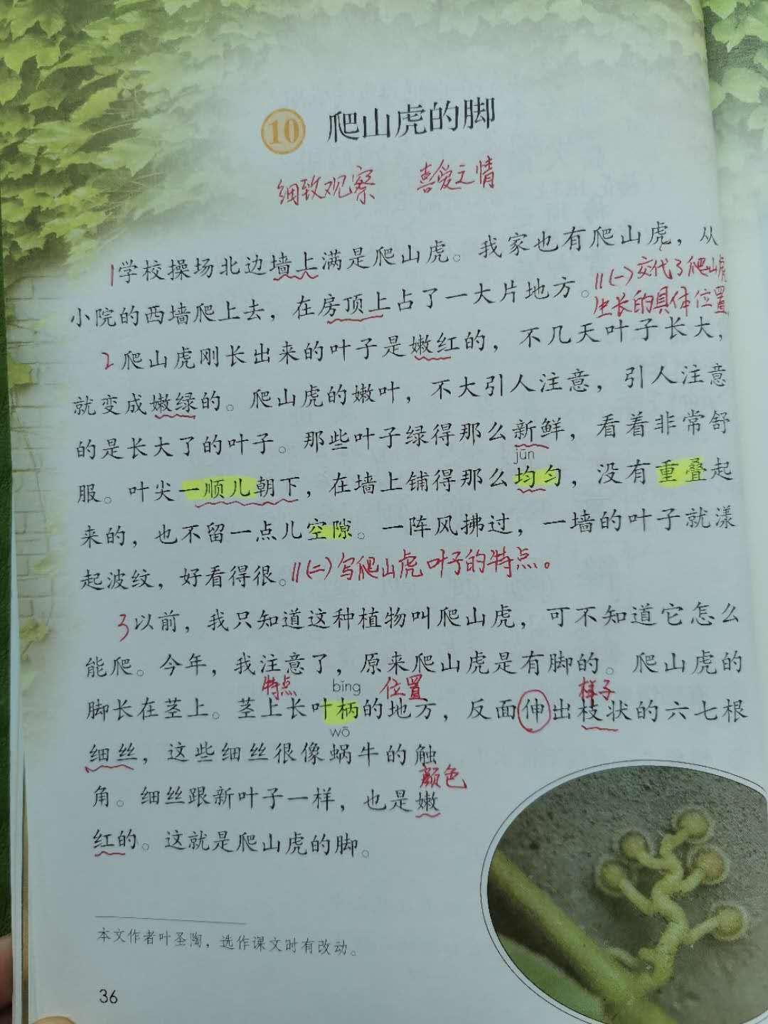 小学语文部编版最新